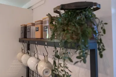 a shelf with potted plants on a wall at 't Bunga huiske in Lanaken