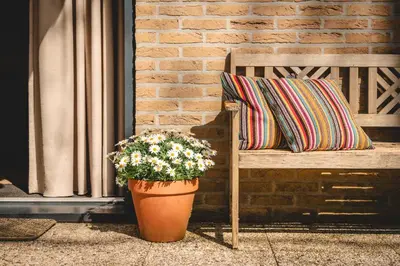 a wooden bench with a pillow and a potted plant at Boshuisje Rekem - Topo in Lanaken