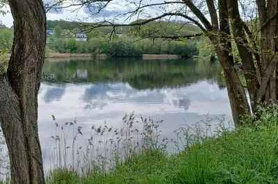 a view of a river from between two trees at Ferienwohnung An den Linden in Kelmis