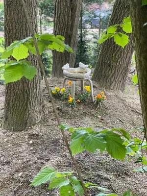 a stone bench in the woods with trees and flowers at Chalet Sint-Hubertus Du Bois in Zutendaal