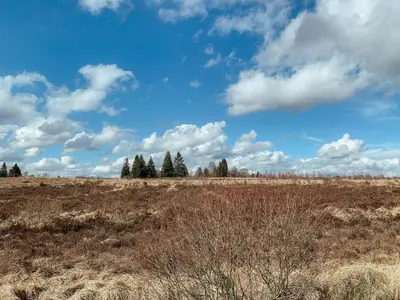 a field with trees and a blue sky with clouds at Loft 88 in Eupen