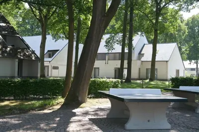 a white bench sitting under a tree in a park at Hengelhoef Berk 5 in Houthalen-Helchteren