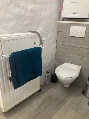 a bathroom with a toilet and a blue towel at Charmante petite maison à Olne in Olne