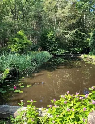 a pond in a garden with flowers and trees at Prachtige chalet in het bos met sauna! in Lanaken