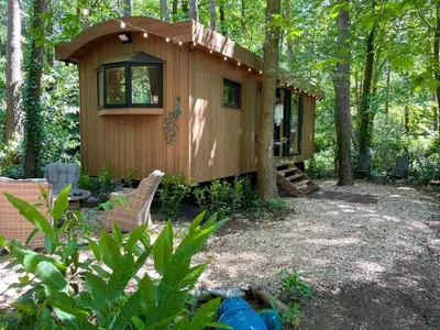 a cabin in the woods with chairs and a tree at Pipowagen de Pauw in de bossen van Belgisch Limburg nabij Maastricht in Lanaken