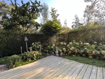 a garden with a wooden walkway and a bunch of flowers at De Lelie in Rekem
