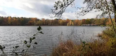 a lake with a house in the middle of it at Zonnige vrijstaande bungalow in prachtige omgeving! in Rekem