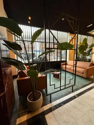 a living room with a plant in a pot at Getaway Liège in Liège