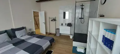 a bedroom with a bed and a shower in it at The Mind Box 2 in Liège