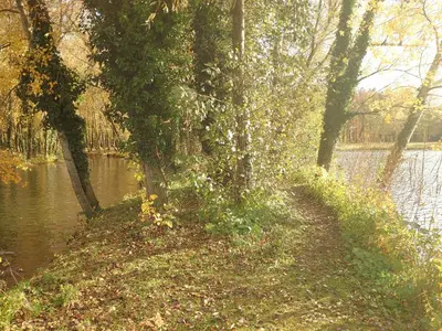 a path next to a body of water with trees at Vrijstaande vakantiebungalow met optimale privacy!! in Rekem