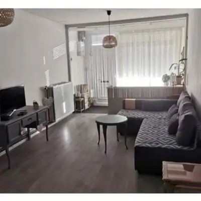 Vintage house ViVa