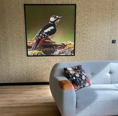 a picture of a bird sitting on top of a couch at Spechthuisje, 4-pers bungalow in Rekem in Lanaken