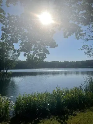 a view of a lake with the sun in the sky at Bungalow AMNIS by Sonnevijver Residences in Lanaken