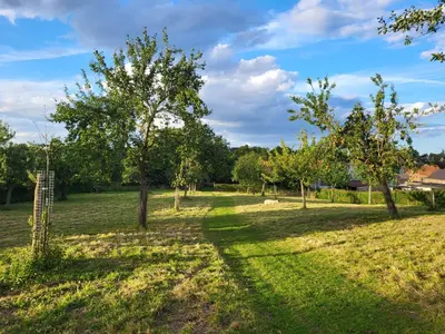 a field of grass with trees in the background at Charming and cosy ART DECO house in old historic farm with private natural pool and gardens with hiking and cycling trails nearby in Sint-Truiden