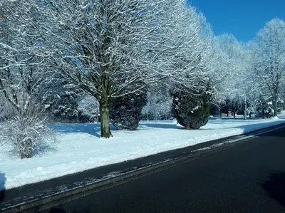 a street with snow covered trees on the side of a road at Point Escale in Lontzen