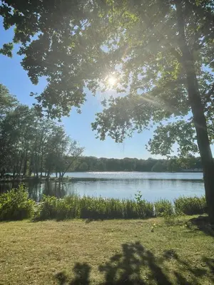 a view of a lake from under a tree at Lacuna STILLA by Sonnevijver Residences in Lanaken