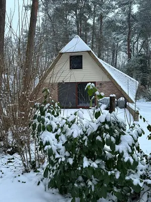 a small house in the snow with a bush at Zwaan7, Top Locatie! Top Deal! in Rekem