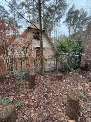 a house with a fence and some trees and leaves at Zwaan7, Top Locatie! Top Deal! in Rekem