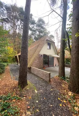 a house in the middle of some trees at Zwaan7, Top Locatie! Top Deal! in Rekem