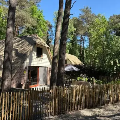 Zwaan7