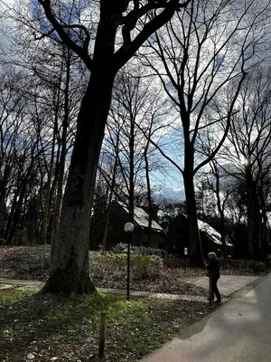 a person standing on a sidewalk next to a tree at Bos-Chalet bij Wijers Wandelroutes, Rust & Gezinsplezier Fijnspar 6 Hengelhoef in Houthalen-Helchteren