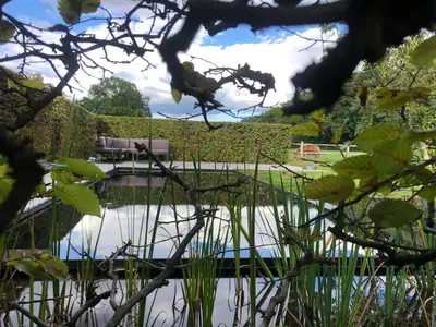 a view of a pond in a park at Vakantiehuis Eksel in Hechtel-Eksel