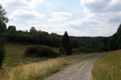 a dirt road in the middle of a field at WalHOME: Hohes Venn, 3 Grenzen, Natur in Walhorn