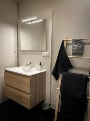 a bathroom with a sink and a mirror at Suite luxueuse aux Guillemins in Liège