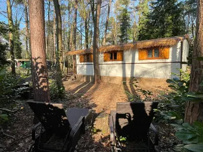 a house in the woods with two benches in front of it at Pipowagen de Zwaan in Hoge Kempen nabij Maastricht in Lanaken