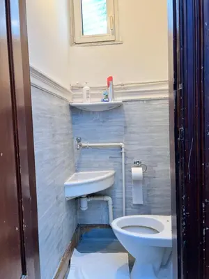 a small bathroom with a toilet and a sink at Le Minimum in Liège