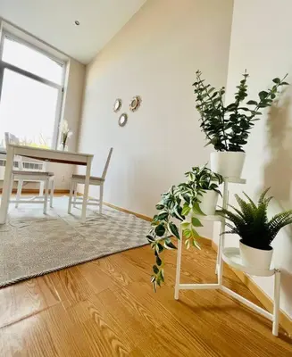 a living room with potted plants and a table at Charmant petit appartement. in Liège