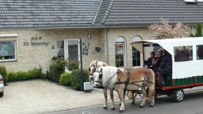 two horses pulling a trolley with people in it at B&B De Watering in Lommel
