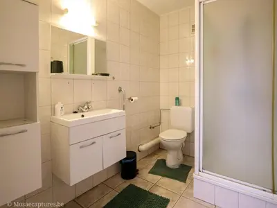 a bathroom with a toilet and a sink and a shower at De Millenniumhoeve (Jean) in Riemst