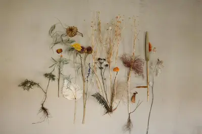 a bunch of dried flowers on a wall at Luxe in Het Posthuis - nieuwe Stijlvolle Verblijven in Oud-Rekem in Lanaken