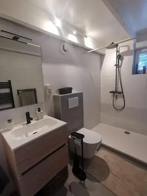 a bathroom with a sink and a toilet and a mirror at Huisje Mezengroet in Lanaken