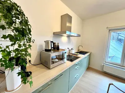 a kitchen with a sink and a microwave at Duplex chic et spacieux - Hypercentre in Liège