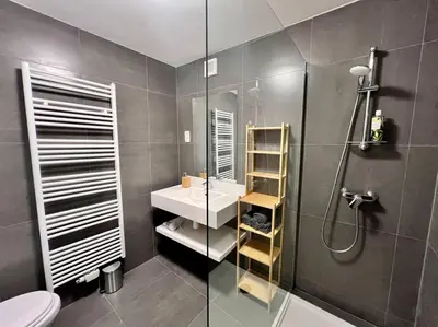 a bathroom with a shower and a sink and a toilet at Le Belvédère de la Rose-Hors château, hypercentre in Liège