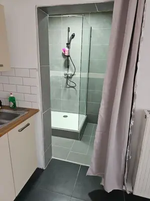 a shower in a bathroom with a sink and a shower at appartement ouvert sur une pièce in Liège