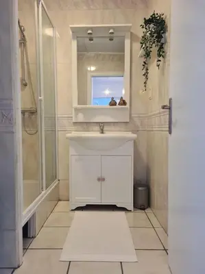 a bathroom with a sink and a shower and a mirror at Stijlvol App in Genk Centrum in Genk