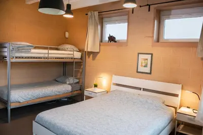 a bedroom with two bunk beds and two windows at Smishoeve 