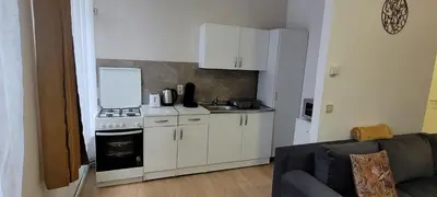 a small kitchen with a stove and white cabinets at Au coeur du théâtre in Verviers