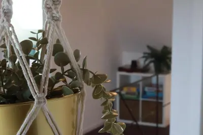 a plant in a yellow vase sitting on a table at Maas & Me in Dilsen-Stokkem