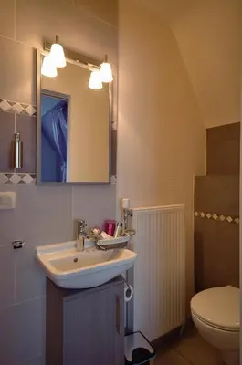 a bathroom with a sink and a toilet and a mirror at B&B Noord-Zuid in Zonhoven