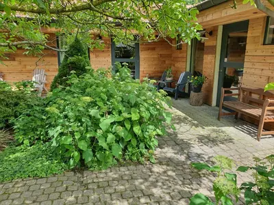 a large green bush in front of a house at B&B Land of Tir Nan Og in Lommel