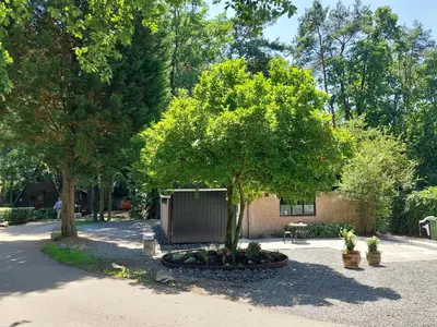 a tree in a park next to a building at Opeteukske in Lanaken