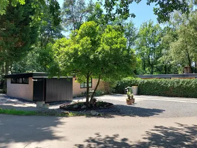 a tree in a courtyard next to a building at Opeteukske in Lanaken