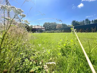 a field of grass with a building in the background at Hestia in Oudsbergen