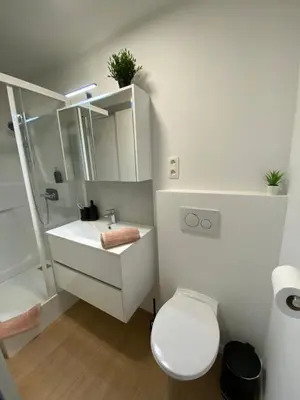 a white bathroom with a toilet and a sink at Sweet Home in Liège