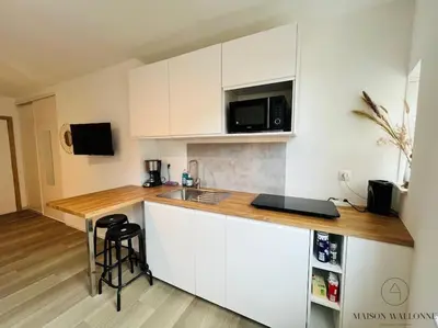 a kitchen with white cabinets and a counter top at Le Wallon - Cointe Guillemins Botanique in Liège