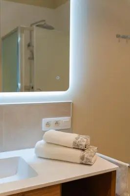 a bathroom with a sink and a mirror at Manoir du Moulin in Berloz